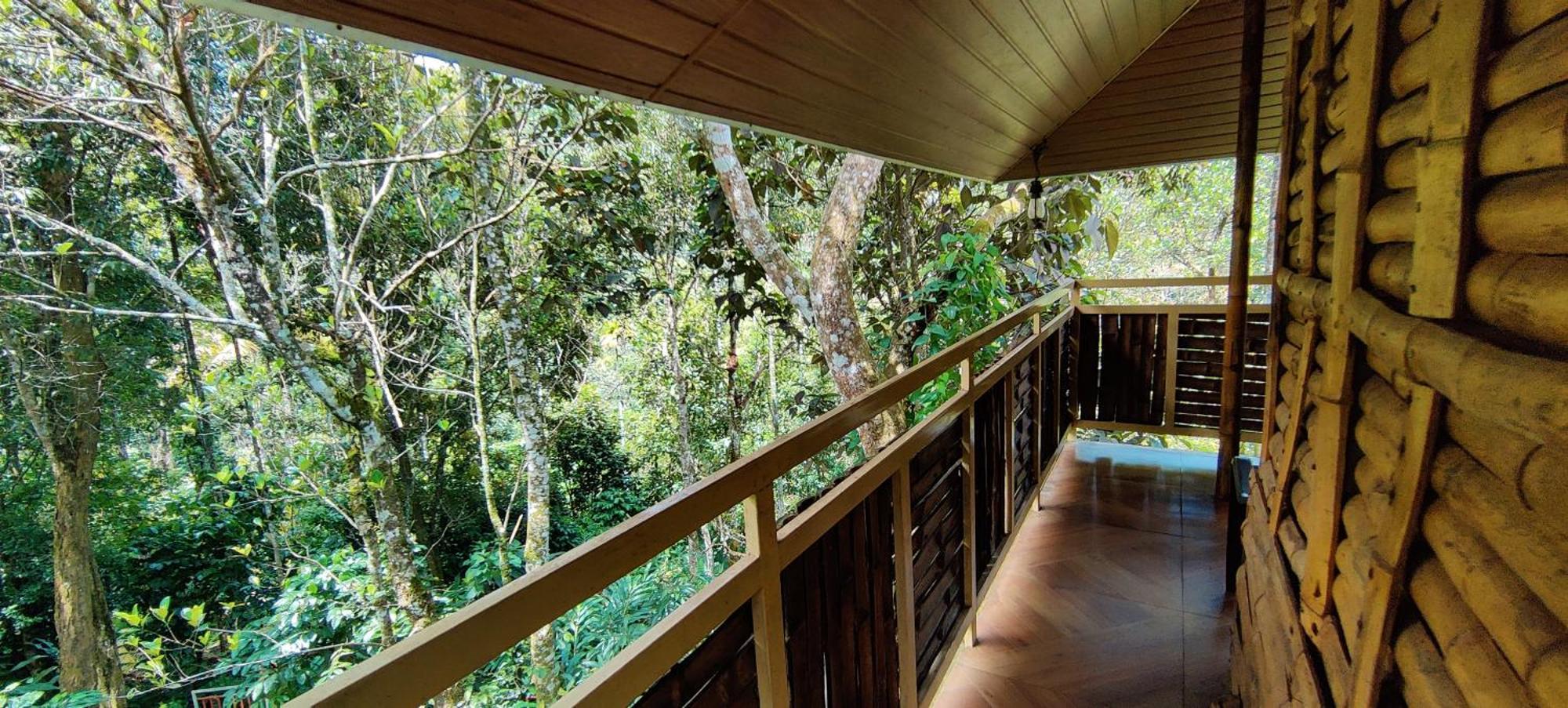 Chalona Hill View Hotell Munnar Exteriör bild